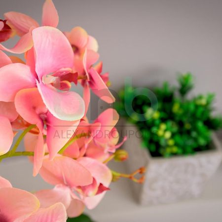 The Floral Suite Alexandroupoli Esterno foto