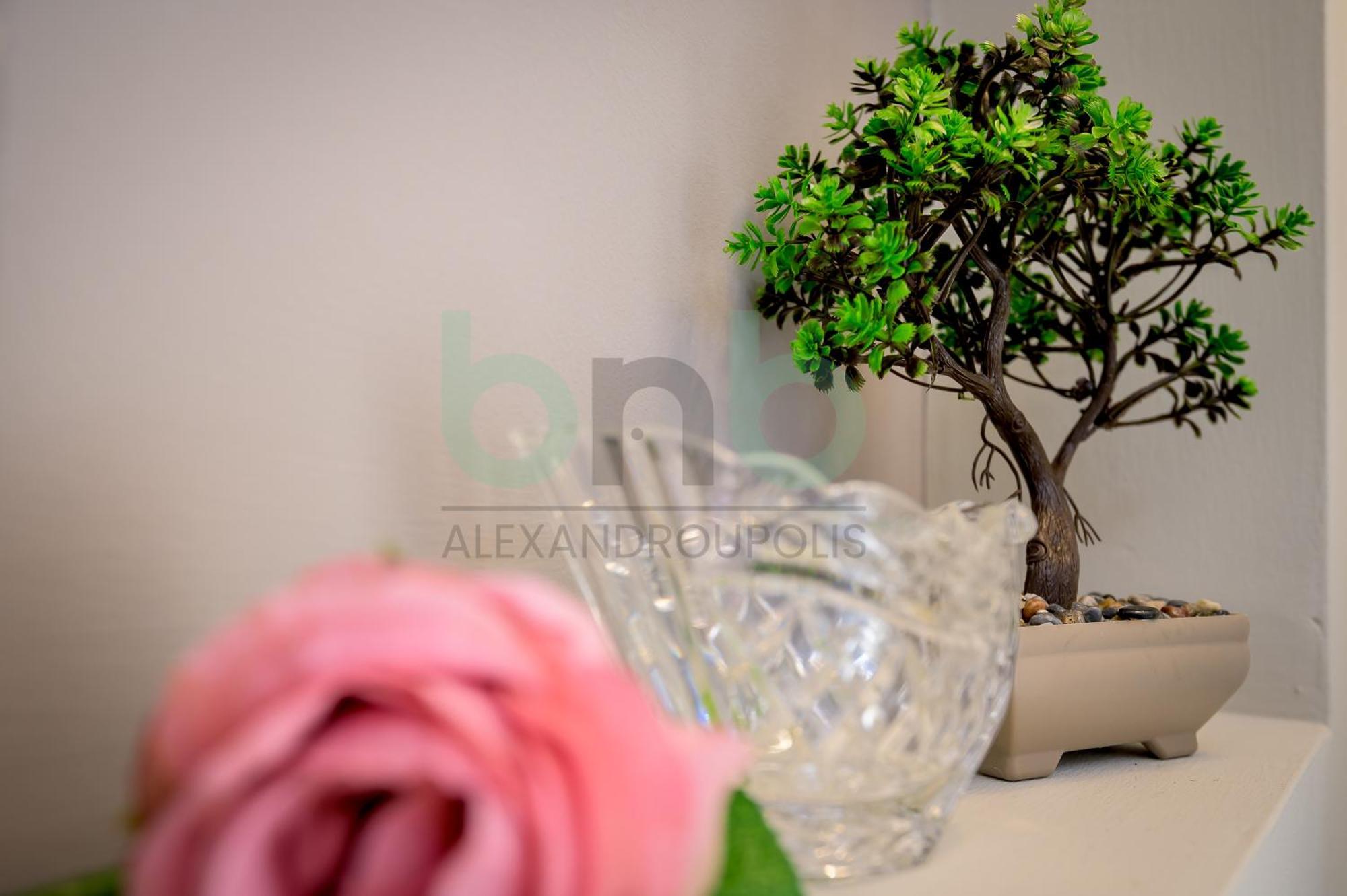 The Floral Suite Alexandroupoli Esterno foto