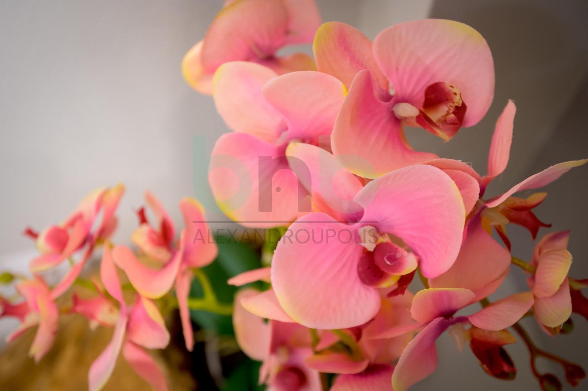 The Floral Suite Alexandroupoli Esterno foto