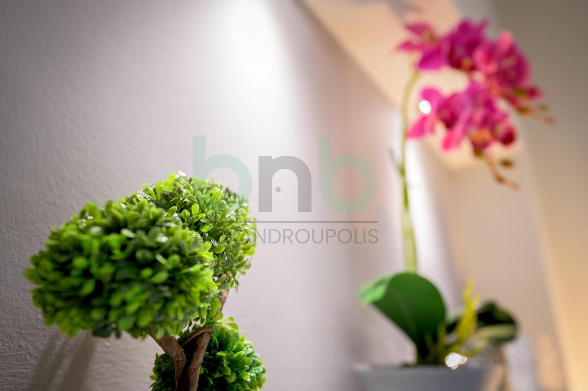 The Floral Suite Alexandroupoli Esterno foto